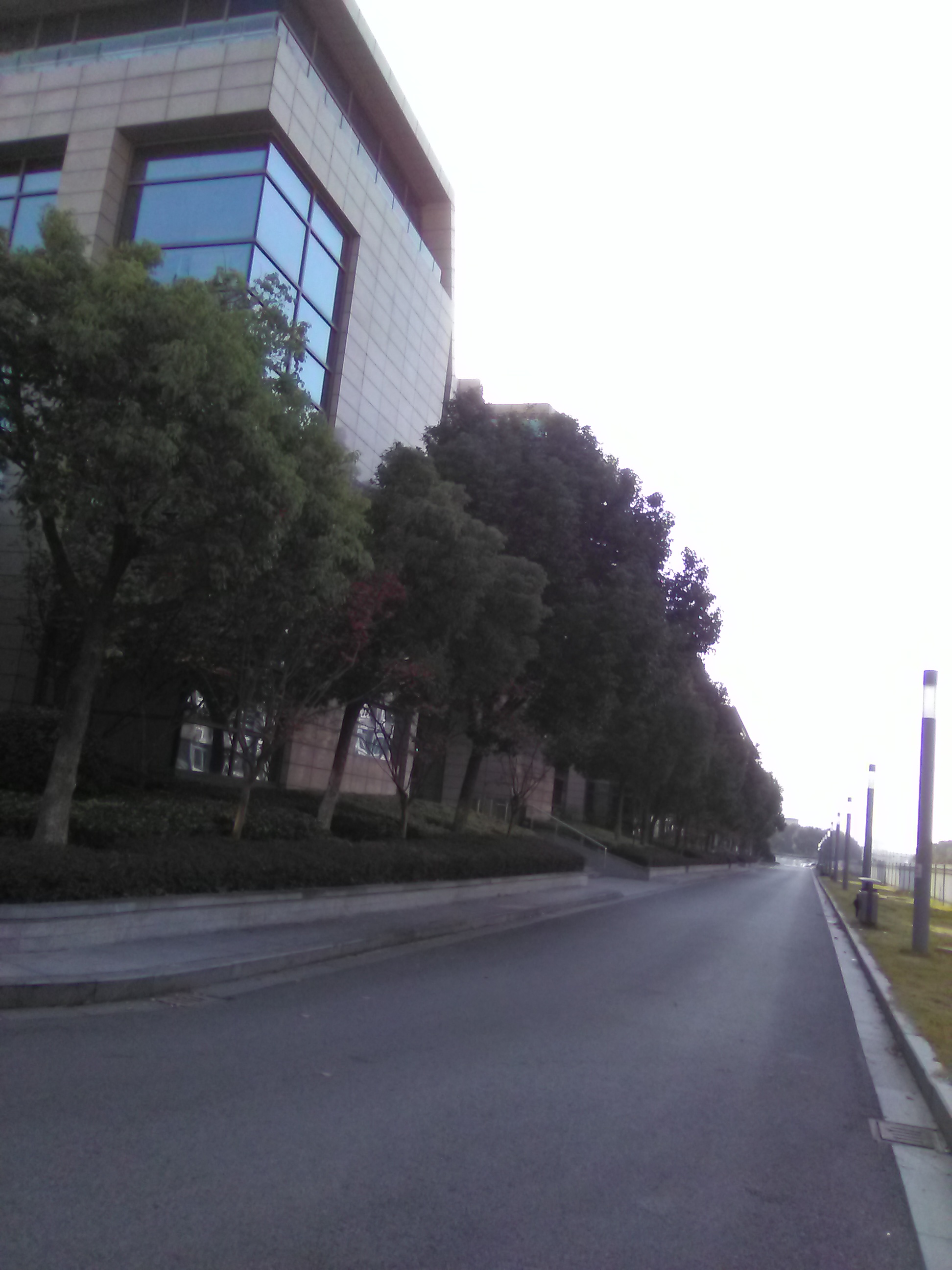 顾晓洪5