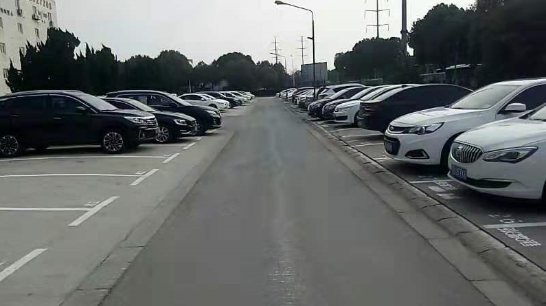 陈新军2