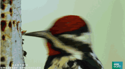 1597108291(1) 1597108291(1)