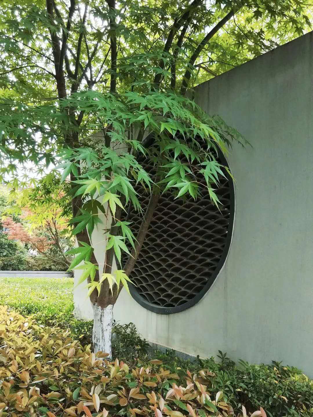 徐良荪2