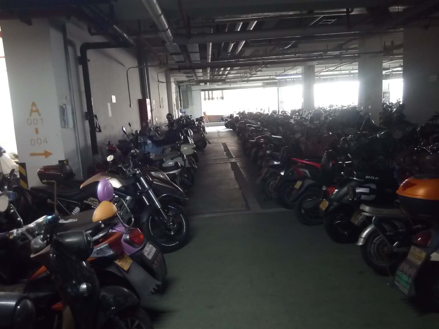 陈新军2
