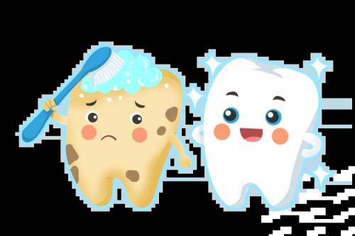 牙齿图片.webp(1)